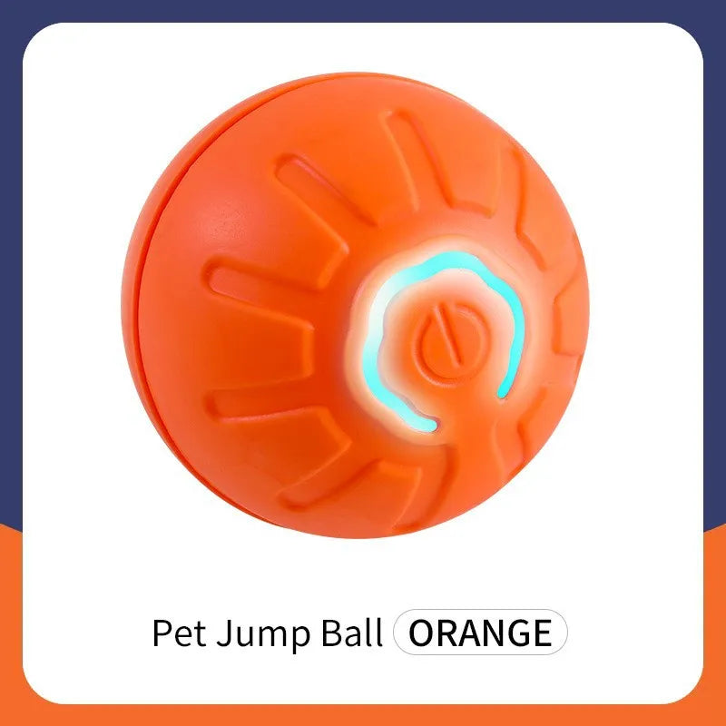 Pawland™ Electronic Bouncing Ball