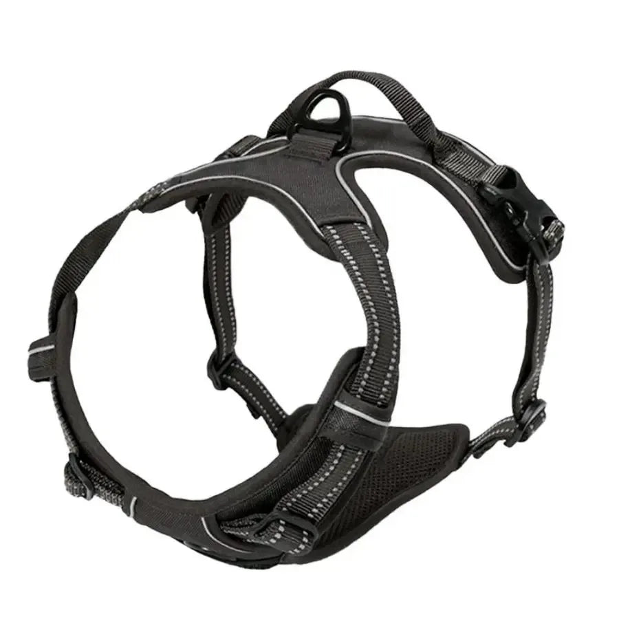 Pawland™ Premium Leather Harness & Leash Set