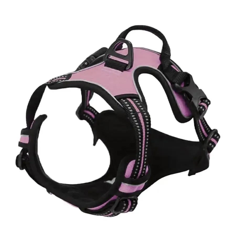 Pawland™ Premium Leather Harness & Leash Set