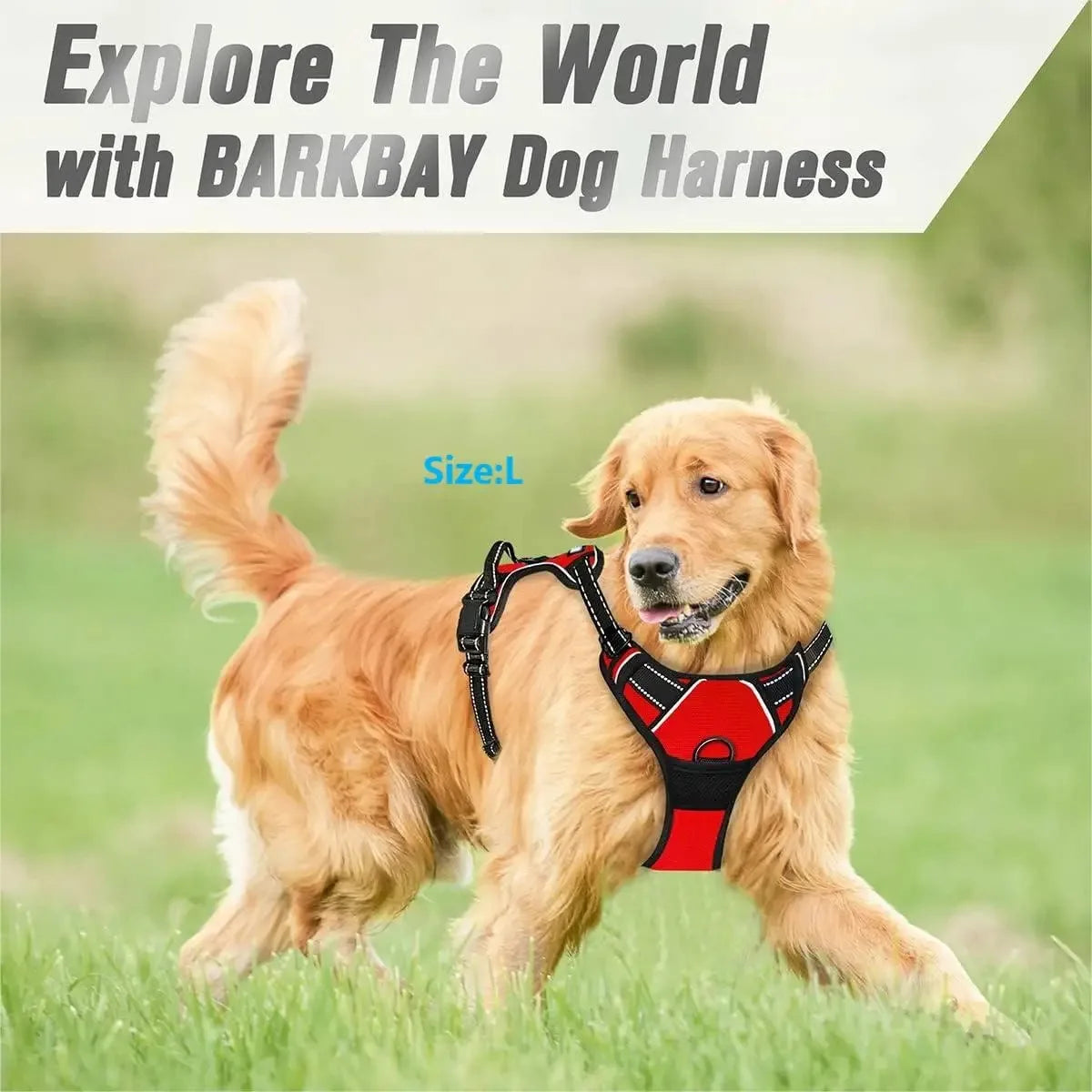 Pawland™ Premium Leather Harness & Leash Set