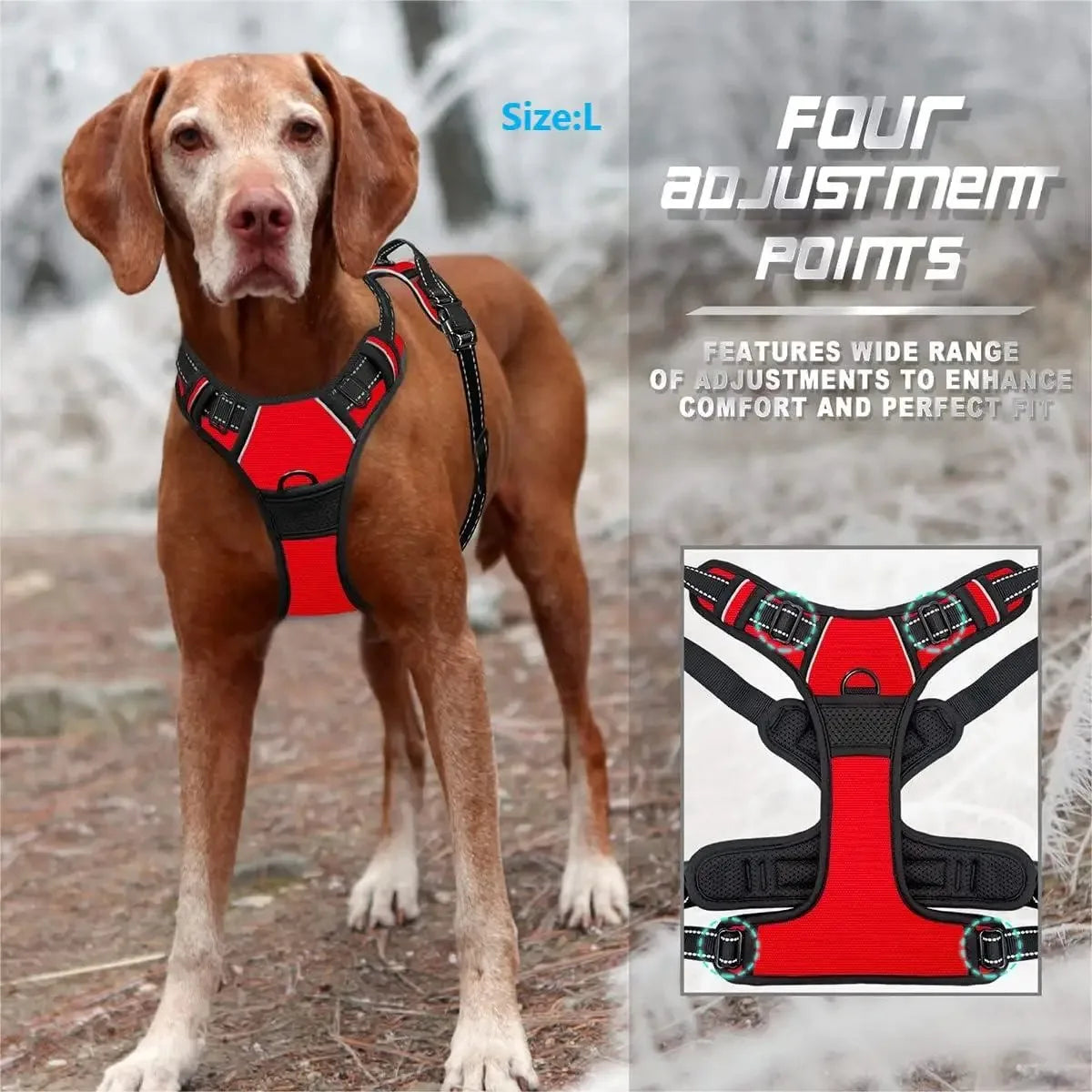 Pawland™ Premium Leather Harness & Leash Set