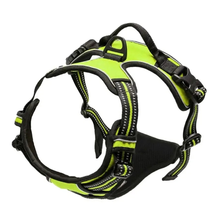 Pawland™ Premium Leather Harness & Leash Set