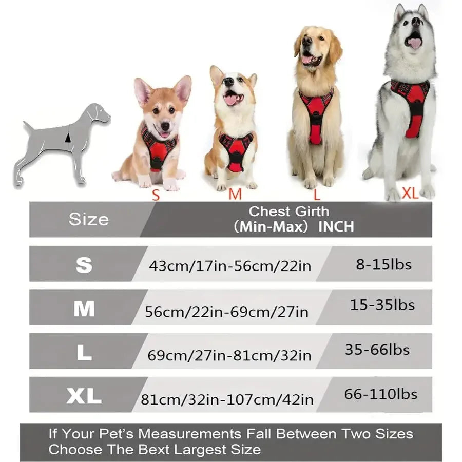 Pawland™ Premium Leather Harness & Leash Set