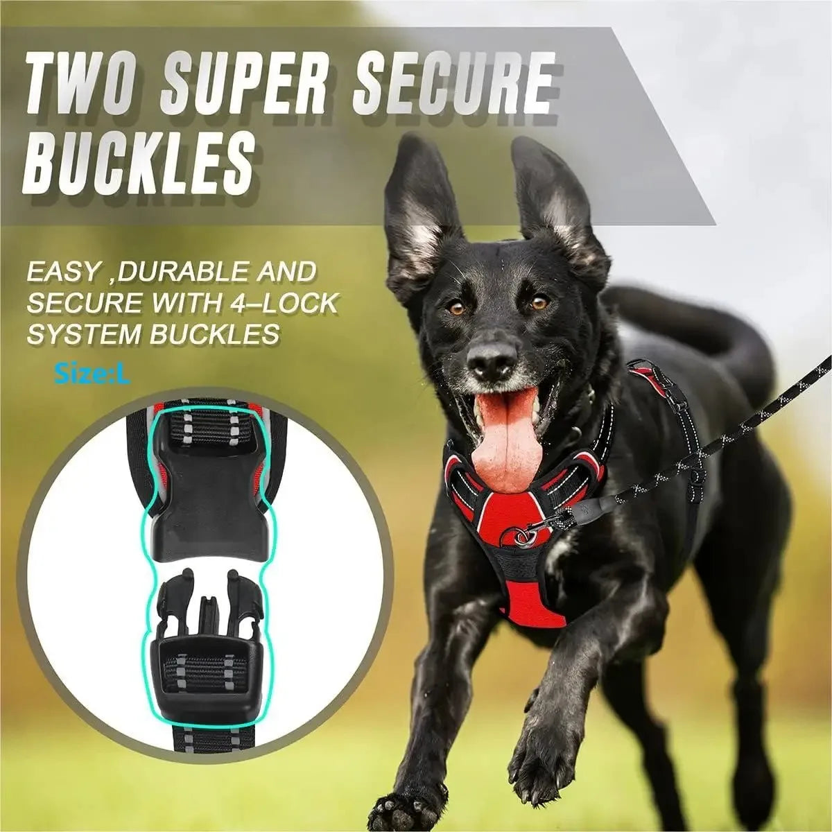 Pawland™ Premium Leather Harness & Leash Set