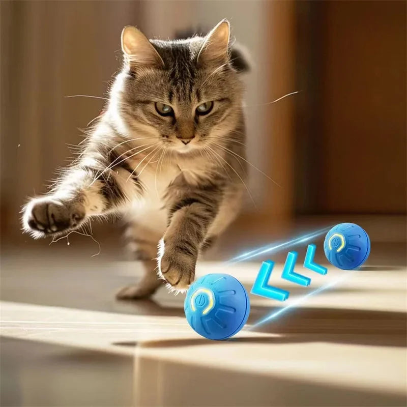 Pawland™ Electronic Bouncing Ball