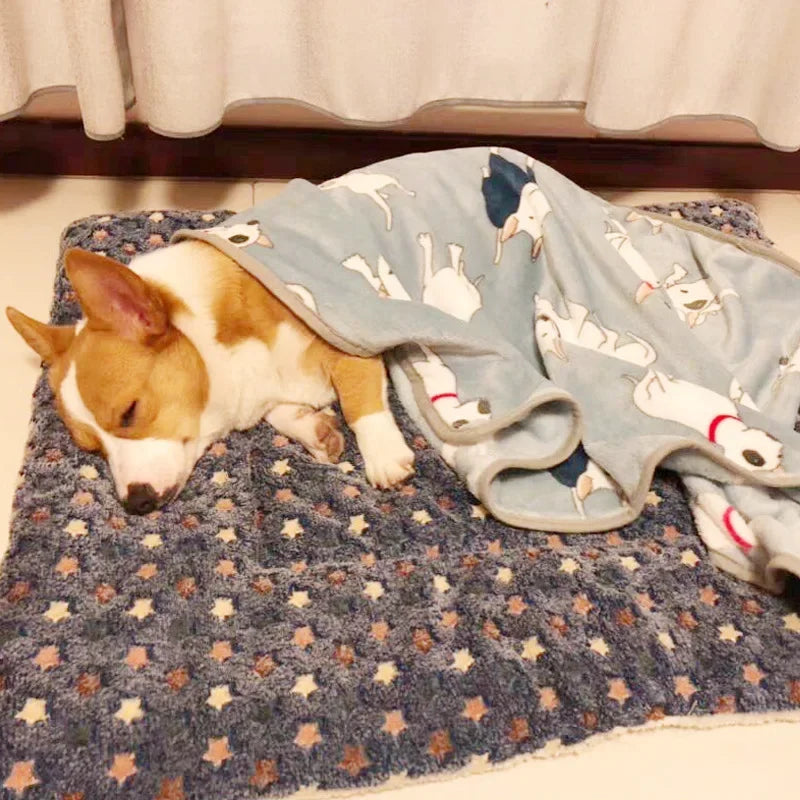 Pawland™ Flannel Pet Mat