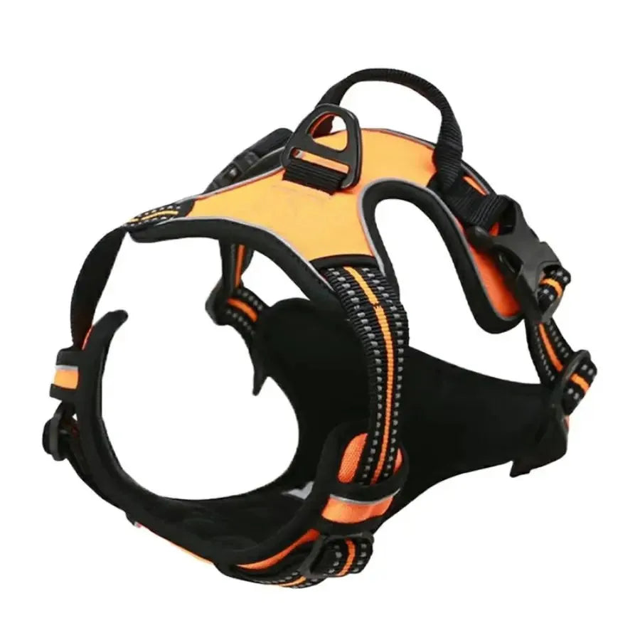 Pawland™ Premium Leather Harness & Leash Set