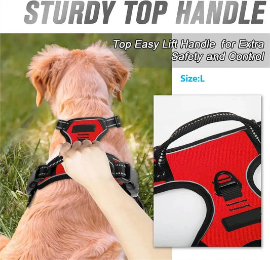 Pawland™ Premium Leather Harness & Leash Set