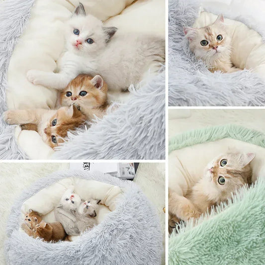Pawland™ 2-in-1 Covered Plush Pet Bed