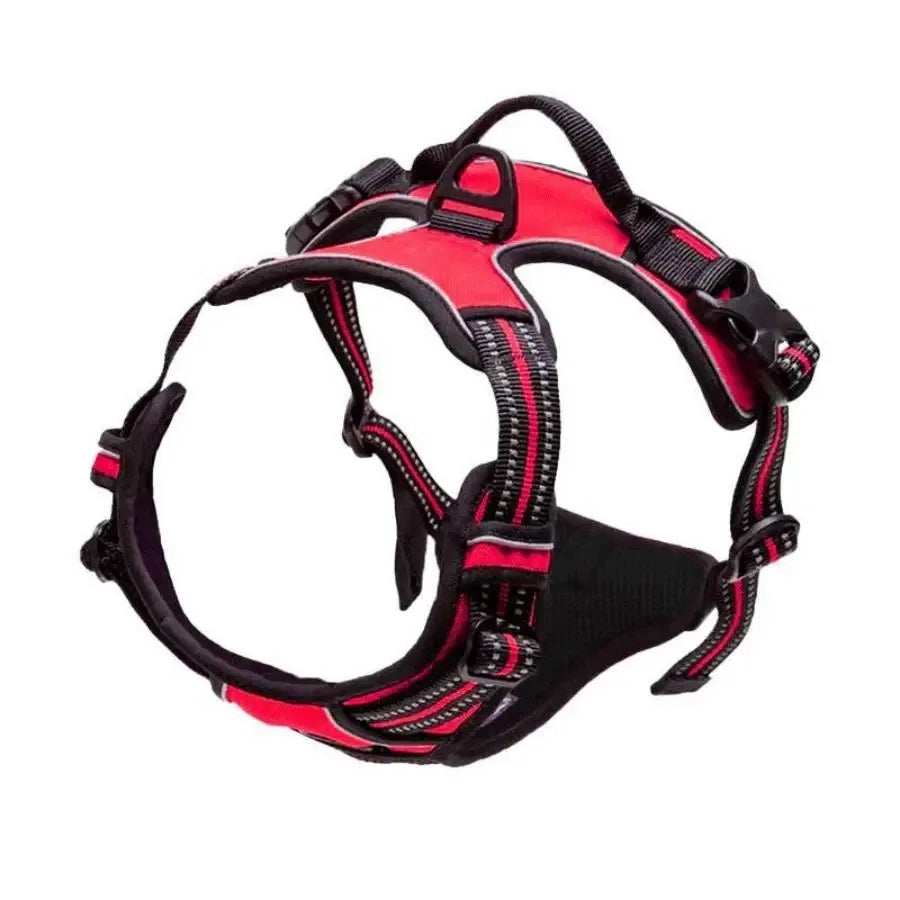 Pawland™ Premium Leather Harness & Leash Set