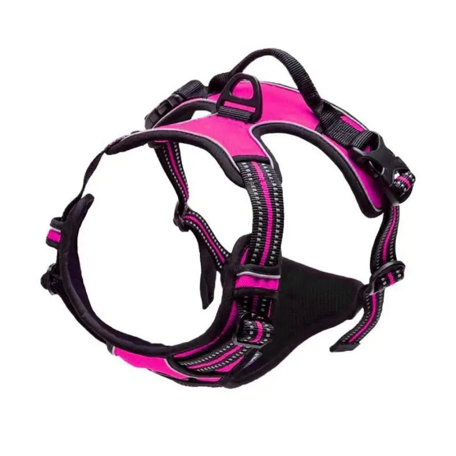 Pawland™ Premium Leather Harness & Leash Set