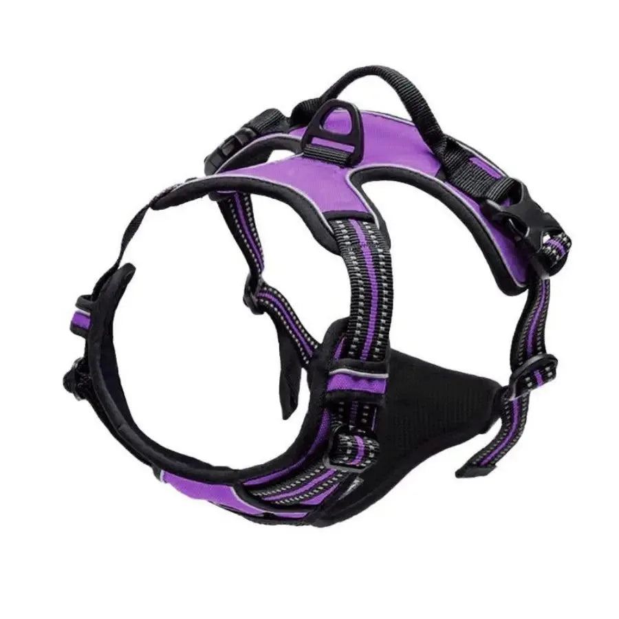 Pawland™ Premium Leather Harness & Leash Set