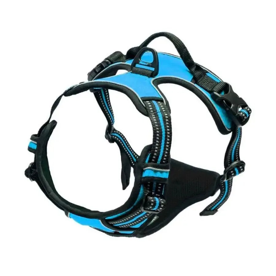 Pawland™ Premium Leather Harness & Leash Set