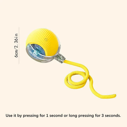 Pawland™ Electronic Bouncing Ball