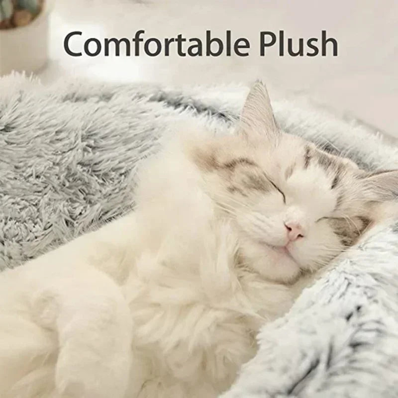 Pawland™ 2-in-1 Covered Plush Pet Bed