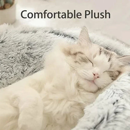 Pawland™ 2-in-1 Covered Plush Pet Bed