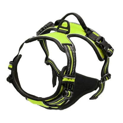 Pawland™ Premium Leather Harness & Leash Set