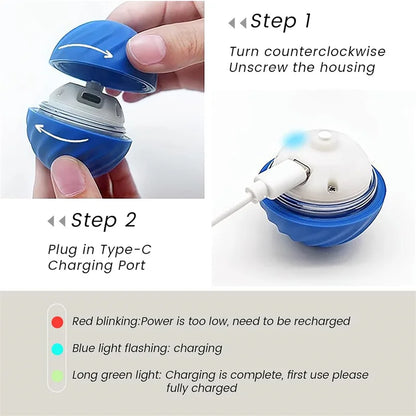 Pawland™ Electronic Bouncing Ball