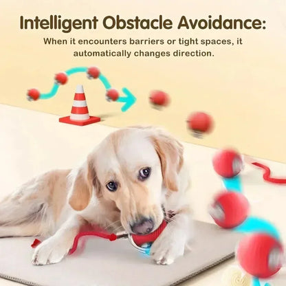 Pawland™ Smart Rolling Ball Toy