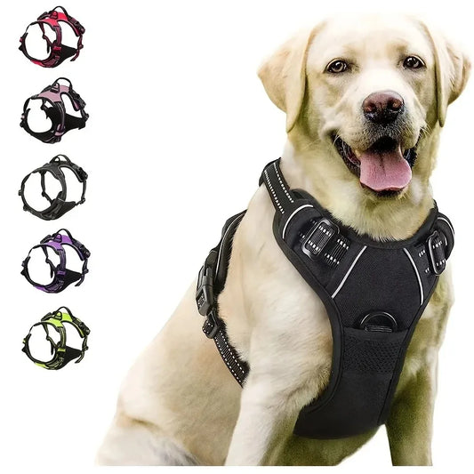 Pawland™ Premium Leather Harness & Leash Set