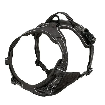 Pawland™ Premium Leather Harness & Leash Set