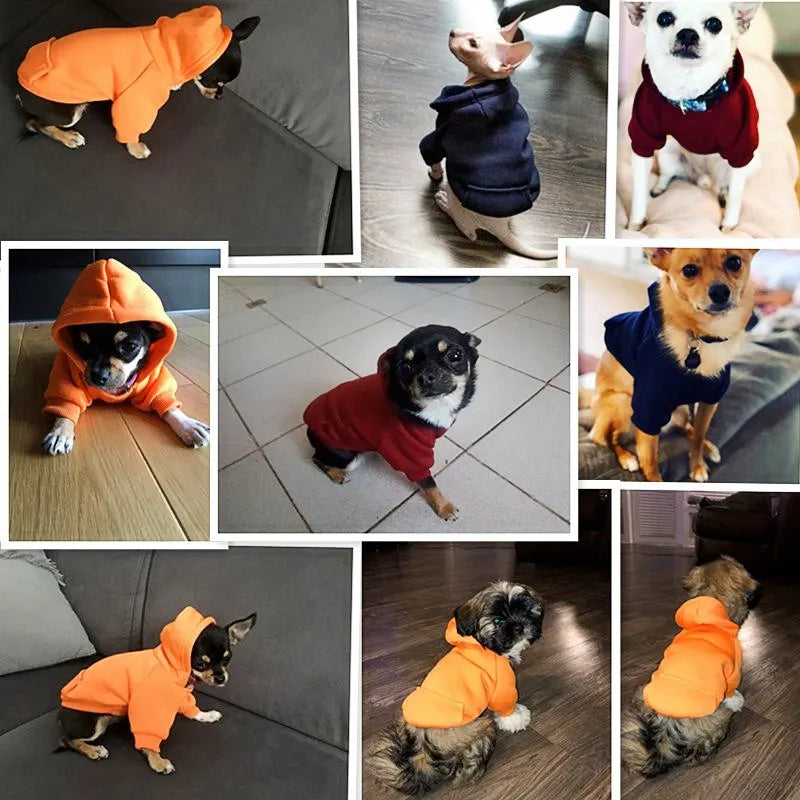 Pawland™ Cozy Canine Hoodie