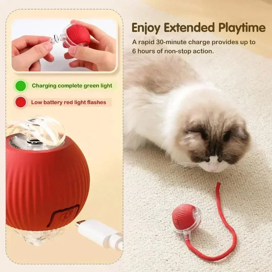 Pawland™ Smart Rolling Ball Toy