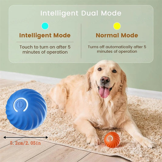 Pawland™ Electronic Bouncing Ball