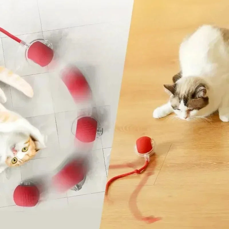 Pawland™ Smart Rolling Ball Toy