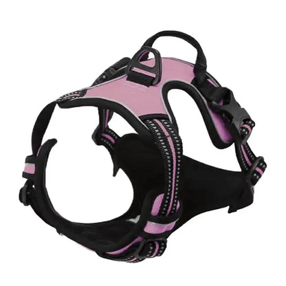 Pawland™ Premium Leather Harness & Leash Set