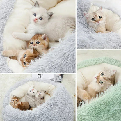 Pawland™ 2-in-1 Covered Plush Pet Bed